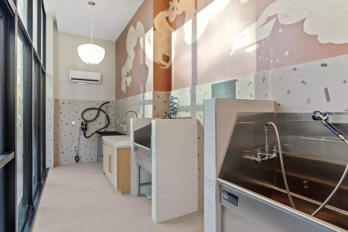 Pet spa with washing stations, spray hoses, and playful wall art.