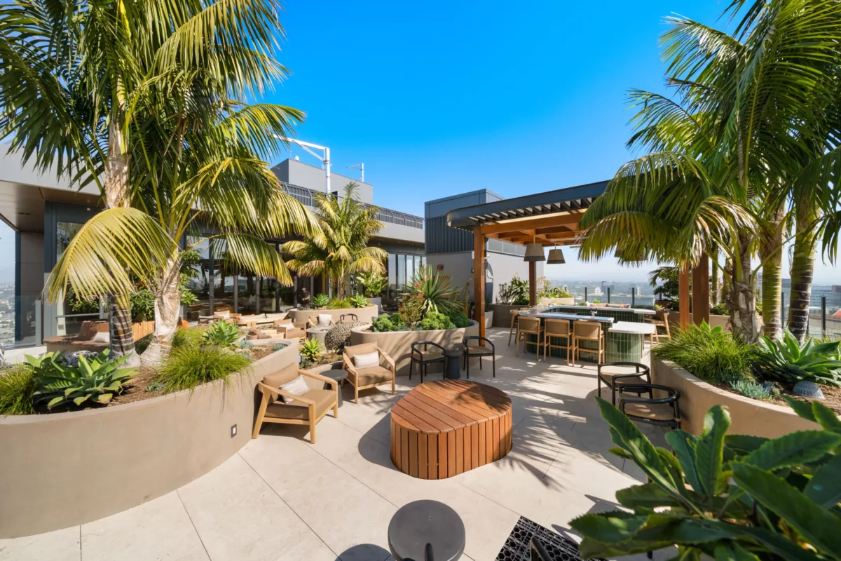 Daytime rooftop deck with palm trees, lounge seating, bar area, and city skyline views.