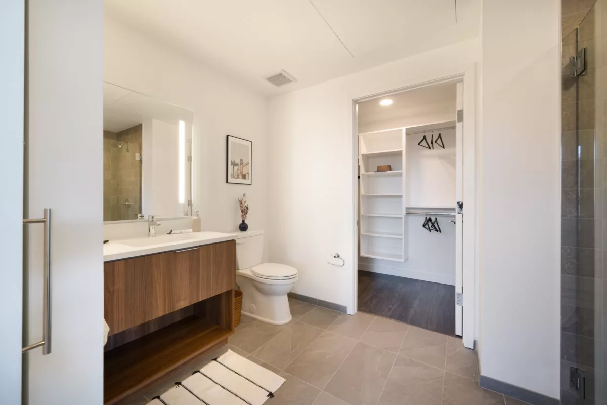 Modern bathroom with wood vanity, large mirror, and adjacent closet with built-in shelving.